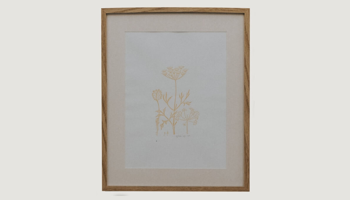 Wild Flowers
